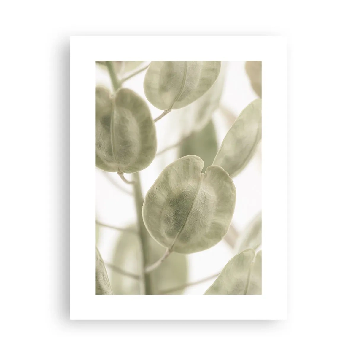 Plagát - Na začiatku bolo lístie… - 30x40 cm