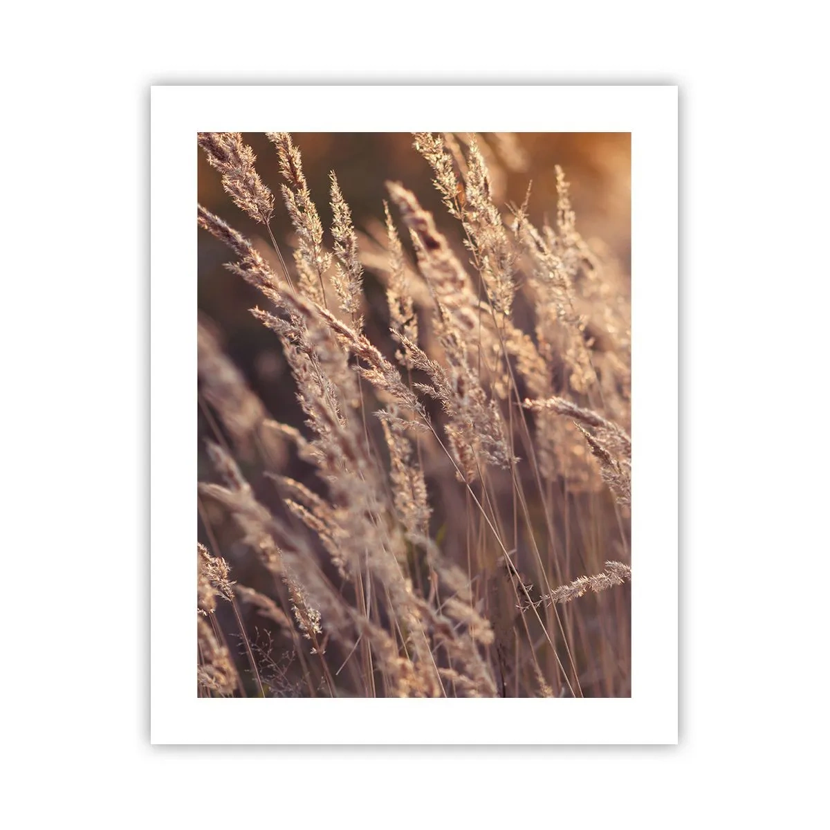 Plagát - Pripravení privítať jeseň - 40x50 cm