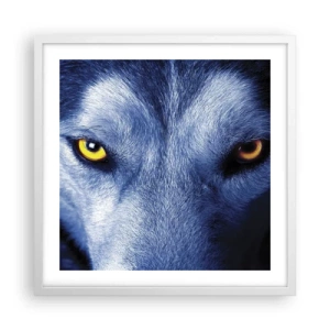 Plagát v bielom ráme - Fascinujúci pohľad - 50x50 cm