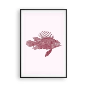 Plagát v čiernom ráme - Obyvateľka exotických vôd - 61x91 cm