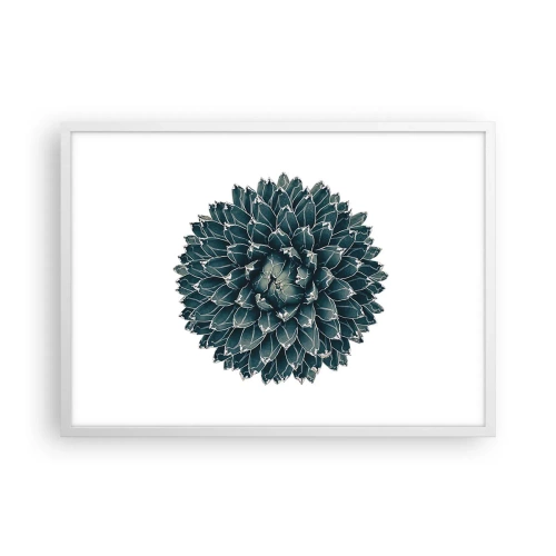 Plagát v bielom ráme - Hviezda púšte - 70x50 cm