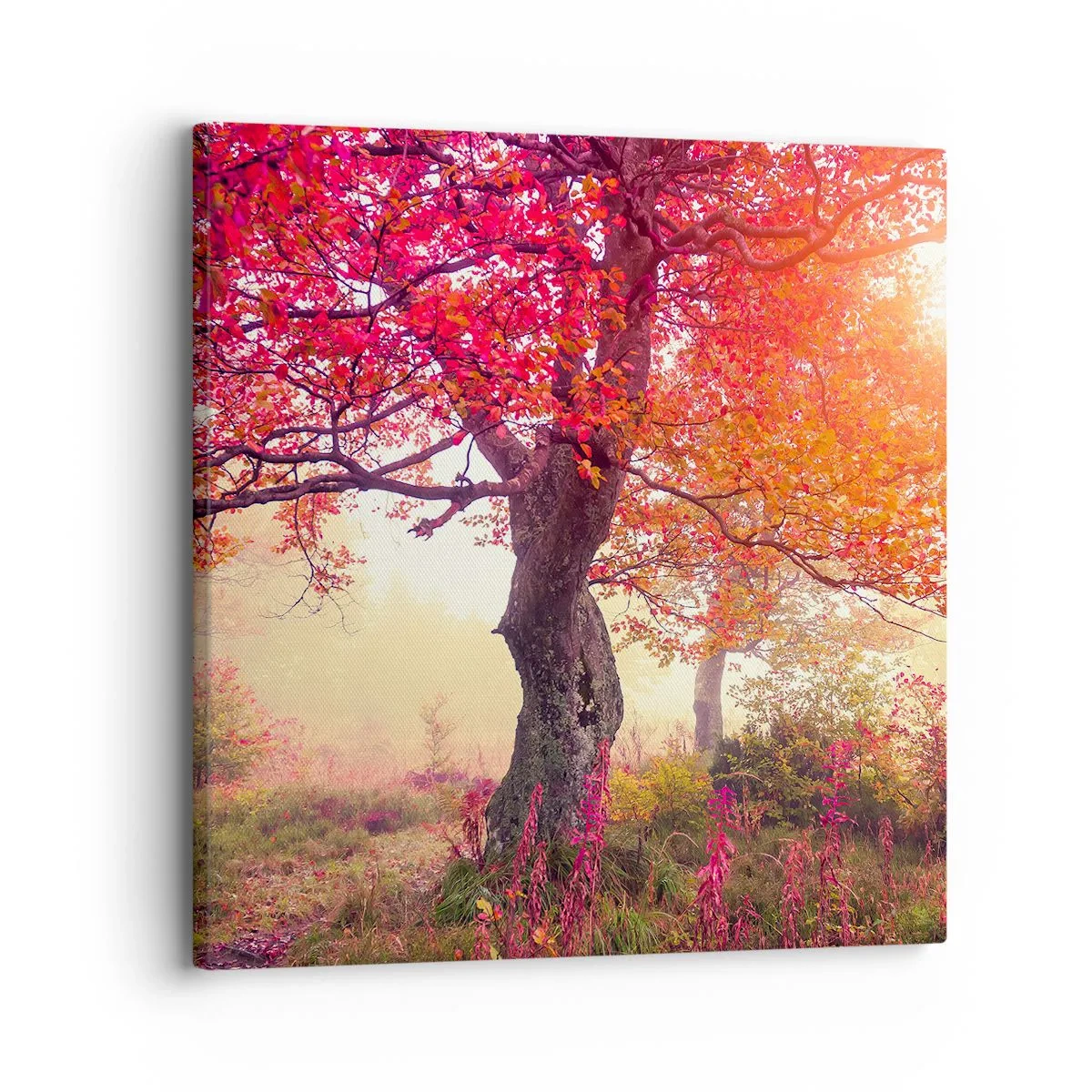 Obraz na plátne - Šialenstvo rozkvetu - 30x30 cm