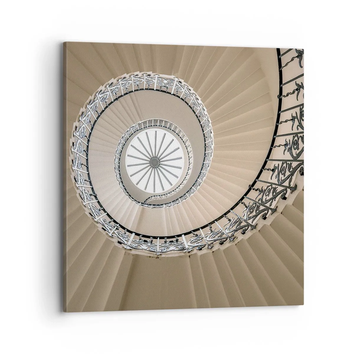 Obraz na plátne - Vnútri mušle - 70x70 cm