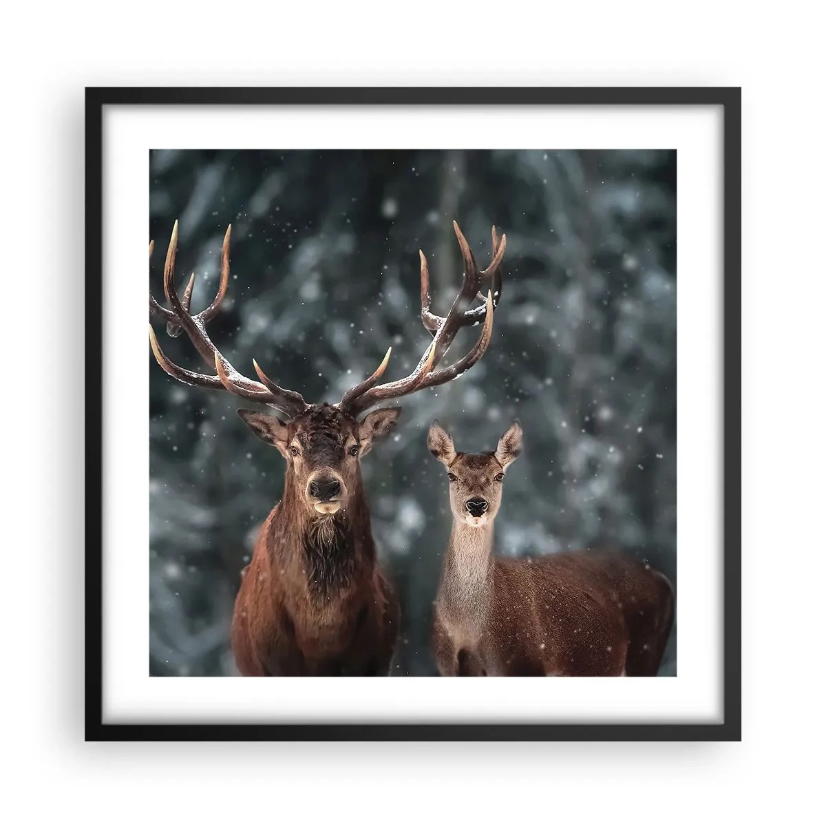 Plagát v čiernom ráme - Pán lesa so svojou ženou - 50x50 cm