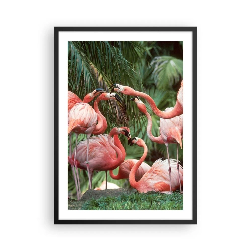 Plagát v čiernom ráme - Ružové plameniaky v exotickom prostredí paliem - 50x70cm - Popoludňajšie klebety - Moderná nástenná dekorácia do obývacej izby a spálne ARTTOR