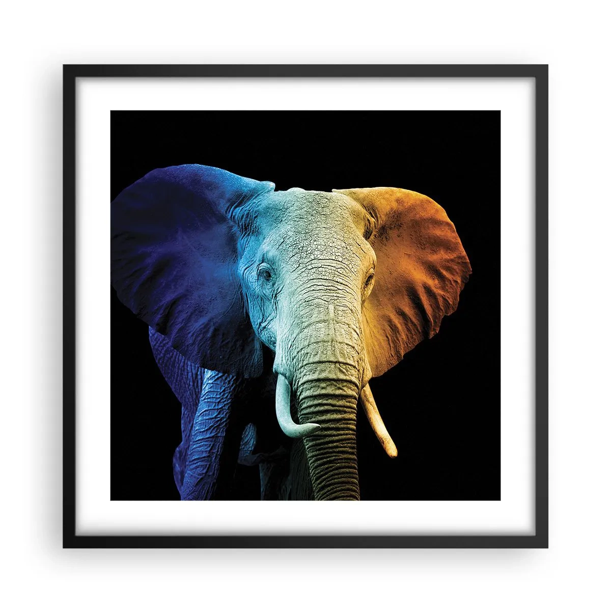 Plagát v čiernom ráme - Excentrický muž, avšak nie podivín - 50x50 cm