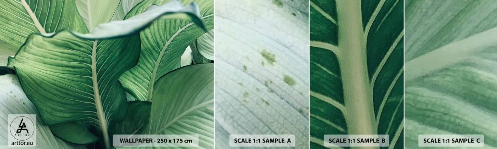 Vzorka samolepiacej fototapety Deluxe Sticker - Intenzívne zelený život - Listy, Exotické, Botanický - 100x30 cm