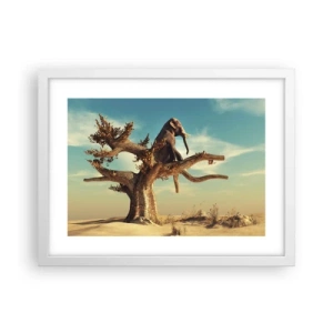 Plagát v bielom ráme - Nový uhol pohľadu - 40x30 cm