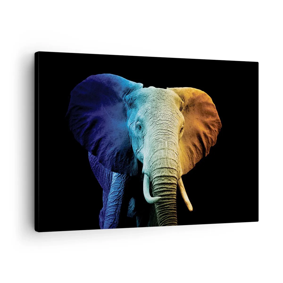 Obraz na plátne - Portrét slona v dúhových farbách - 70x50cm - Excentrický muž, avšak nie podivín - Moderná nástenná dekorácia do obývacej izby a spálne ARTTOR