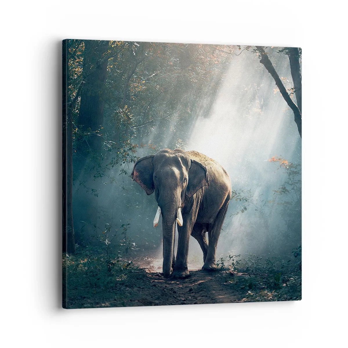 Obraz na plátne - Pokojná prechádzka - 40x40 cm