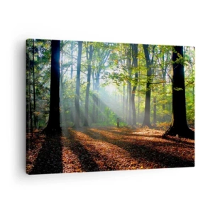 Obraz na plátne - Lesná čistinka osvetlená slnečnými lúčmi - 70x50cm - Svetlá a tiene - Moderná nástenná dekorácia do obývacej izby a spálne ARTTOR
