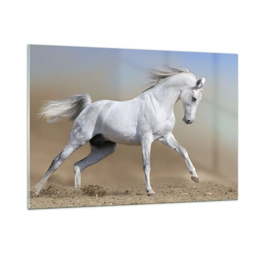 Obraz na skle - Najkrajšia arabská rozprávka - 120x80 cm