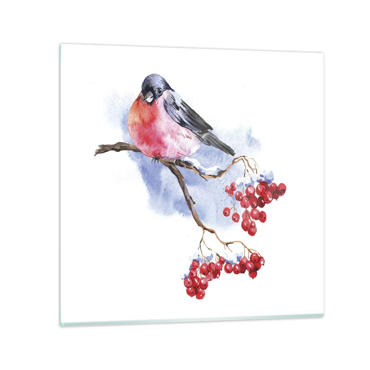 Obraz na skle - Farebná zima - 40x40 cm