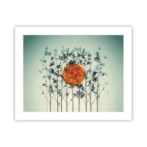 Plagát - Japonské slnko - 50x40 cm