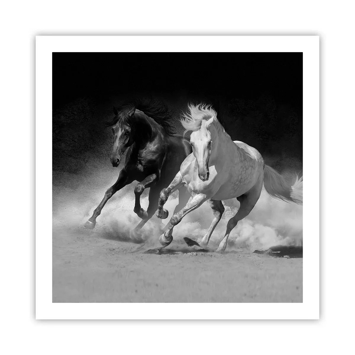 Plagát - Cval slobody - 60x60 cm