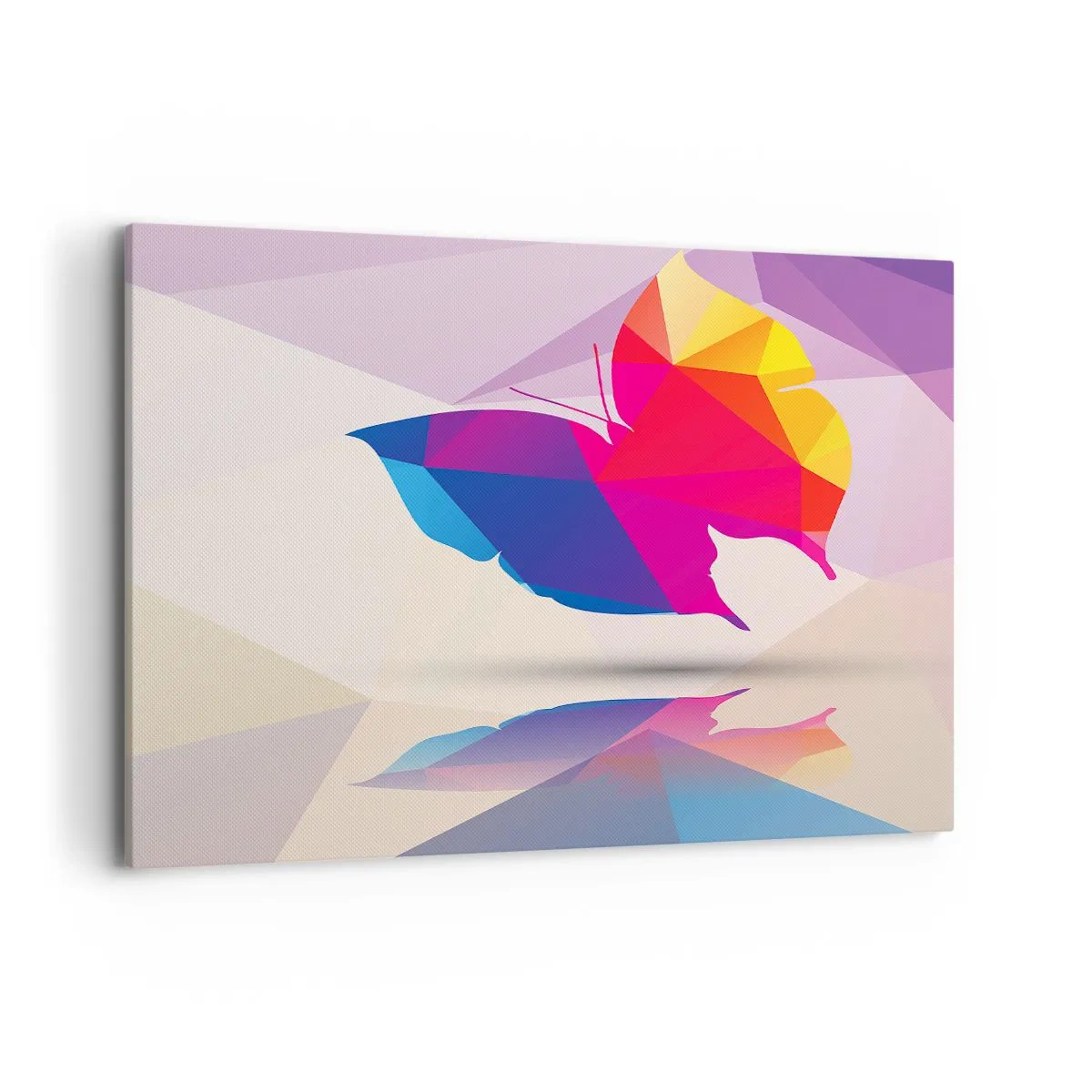 Obraz na plátne - Motýlia dúha - 100x70 cm