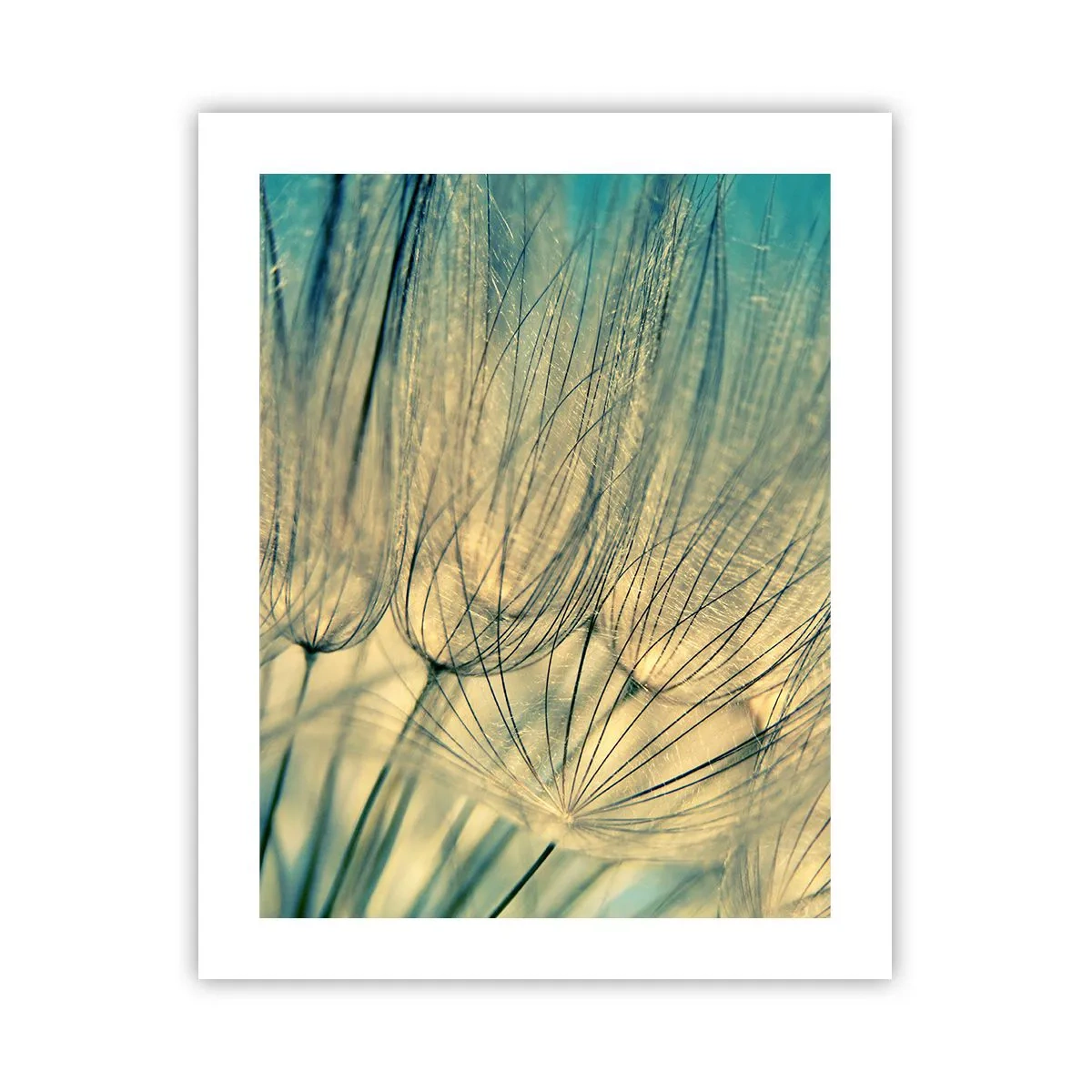 Plagát - Čakanie na vietor - 40x50 cm