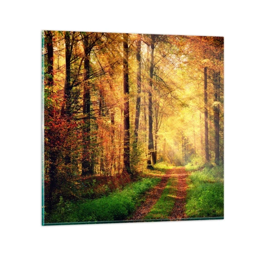 Obraz na skle - Lesno-zlaté ticho - 30x30 cm