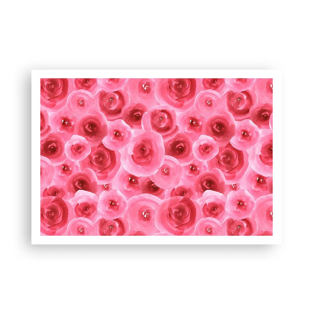 Plagát - Ruže dole aj hore - 100x70 cm