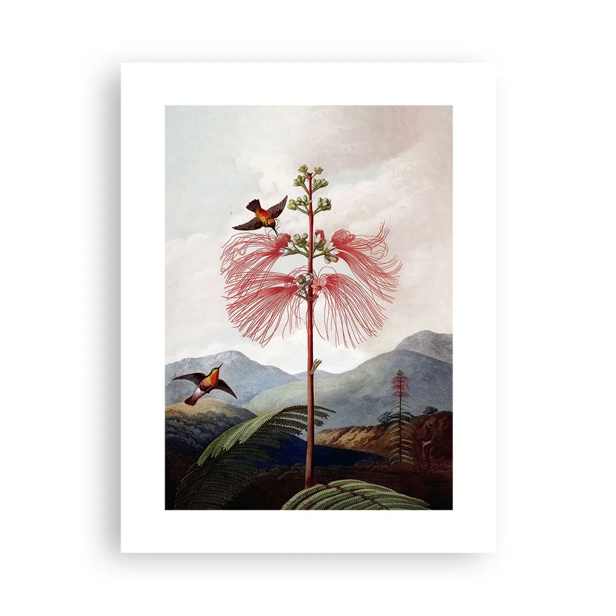 Plagát - V tropickom raji - 30x40 cm