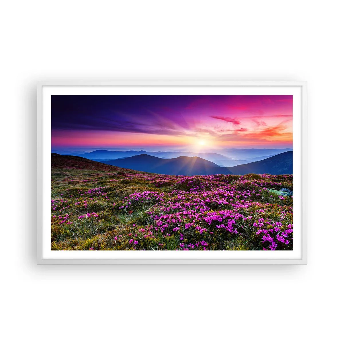 Plagát v bielom ráme - Zavoňali svieže púčiky byliniek z obilných polí - 91x61 cm