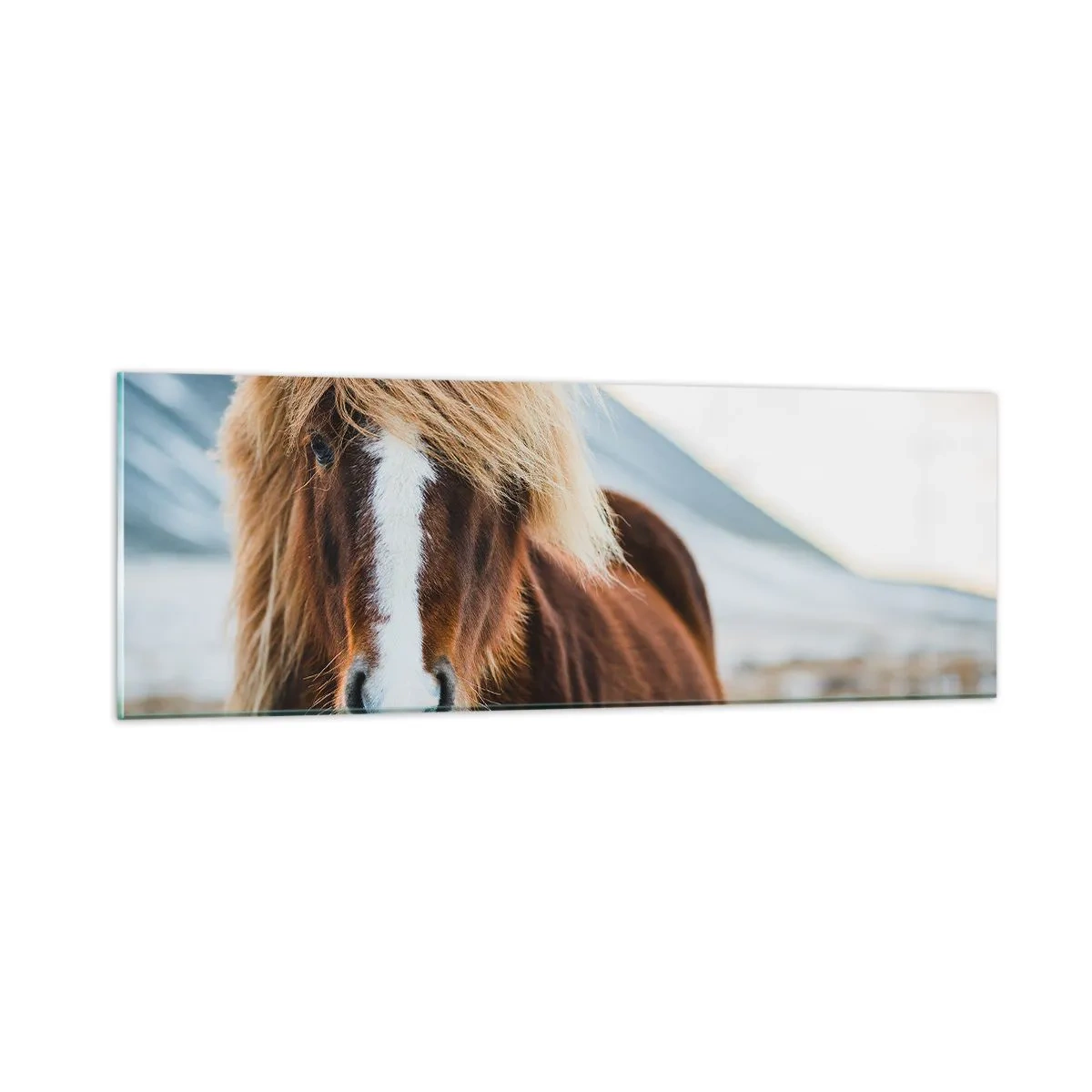 Obraz na skle - Cítiš slobodu? - 90x30 cm