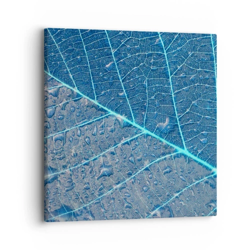 Obraz na plátne - Modrý život - 30x30 cm