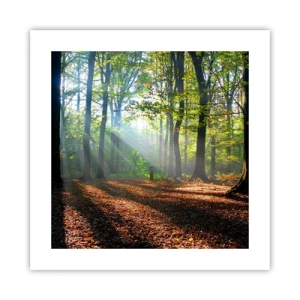 Plagát - Svetlá a tiene - 40x40 cm