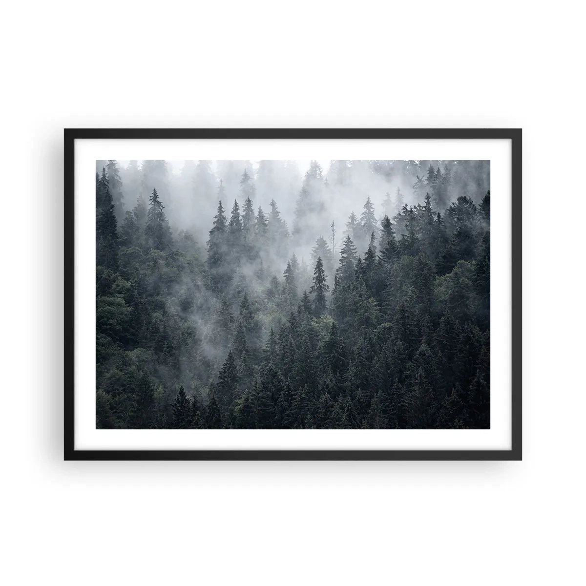Plagát v čiernom ráme - Lesné svitania - 70x50 cm