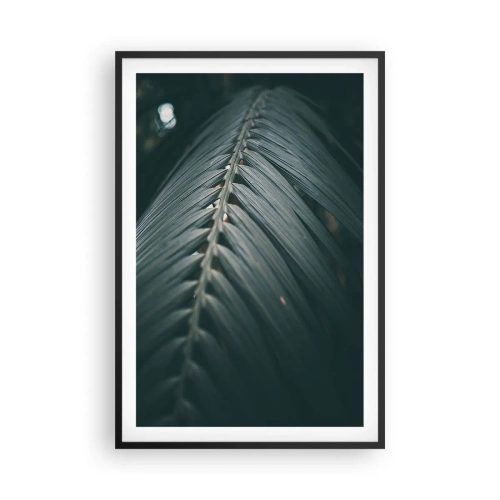 Plagát v čiernom ráme - Presnosť prírody - 61x91 cm