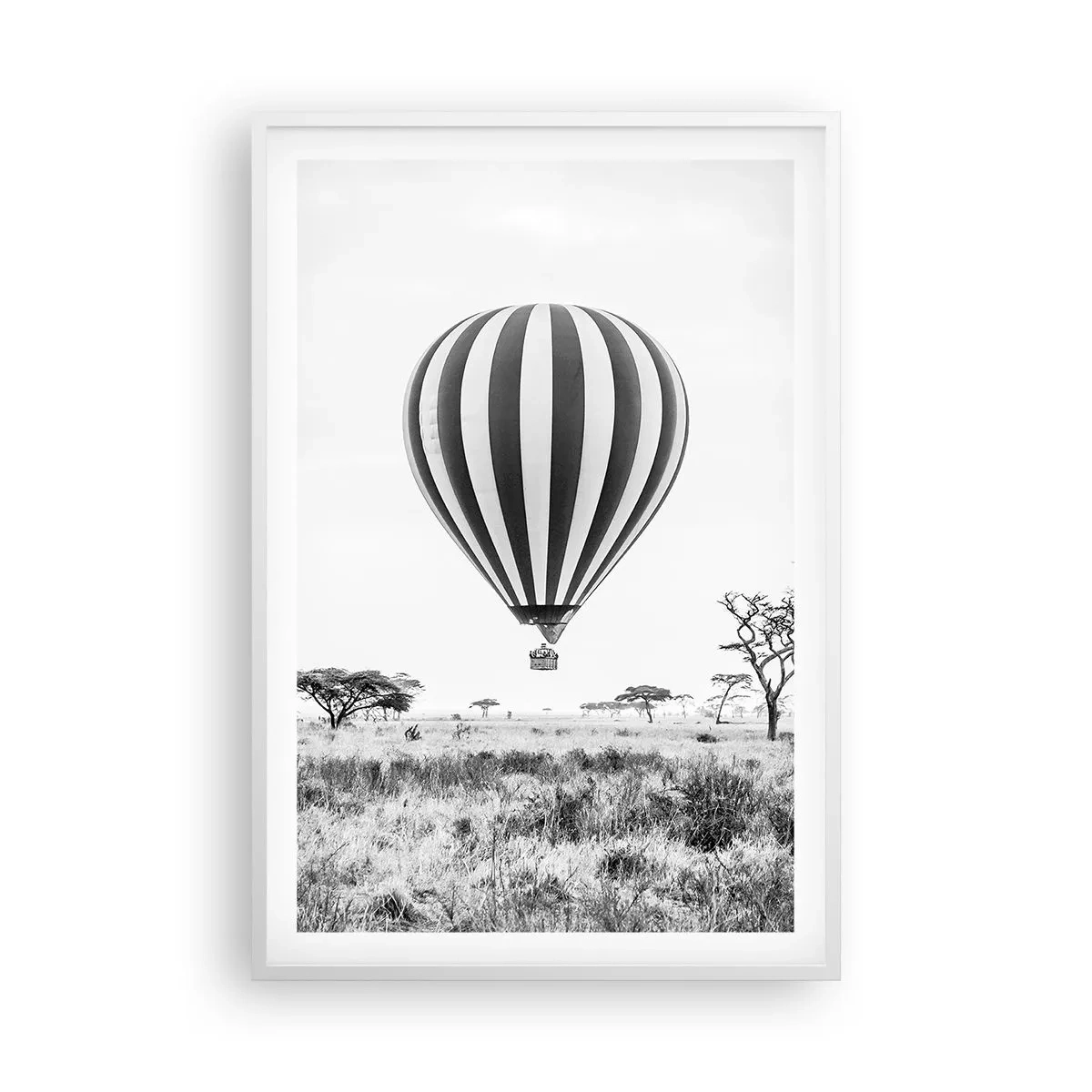 Plagát v bielom ráme - Nad savanou - 61x91 cm