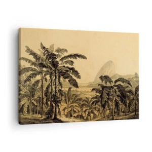 Obraz na plátne - Kresba banánových stromov na pozadí tropickej krajiny - 70x50cm - V koloniálnom štýle - Moderná nástenná dekorácia do obývacej izby a spálne ARTTOR