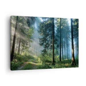 Obraz na plátne - Lesný chodník osvetlený lúčmi ranného slnka - 70x50cm - Žiariaci za úsvitu - Moderná nástenná dekorácia do obývacej izby a spálne ARTTOR