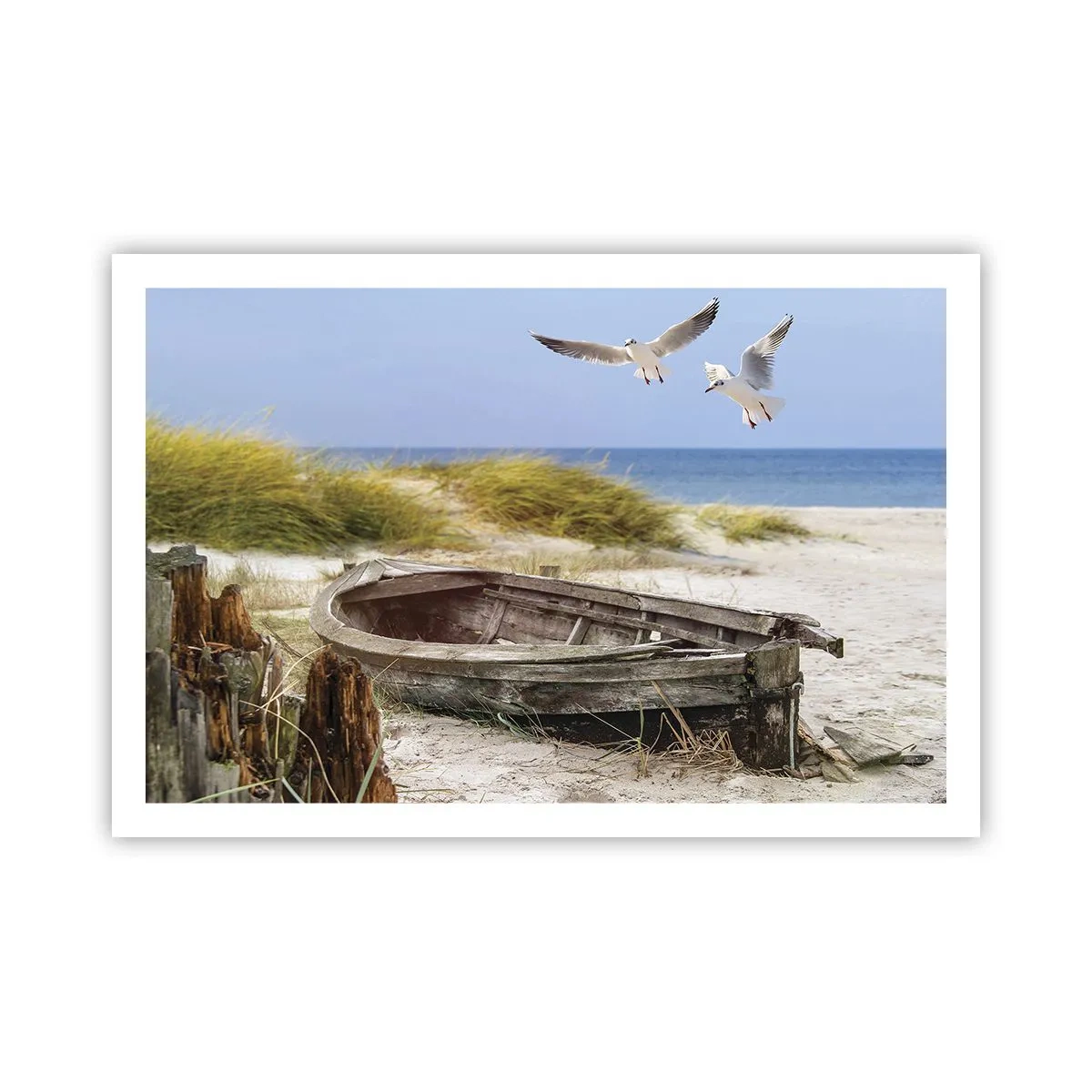 Plagát - Vetrom ožiarené - 91x61 cm