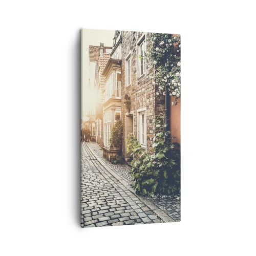 Obraz na plátne - Ružová ulička v ružovej žiare - 45x80 cm