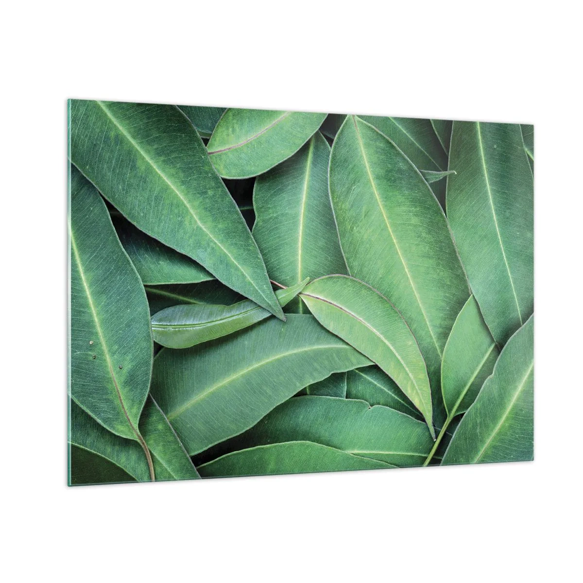 Obraz na skle - Šťavnaté a svieže - 100x70 cm