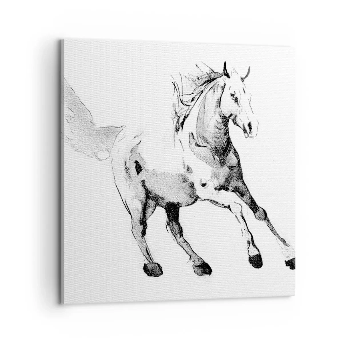 Obraz na plátne - Neskrotená duša - 60x60 cm