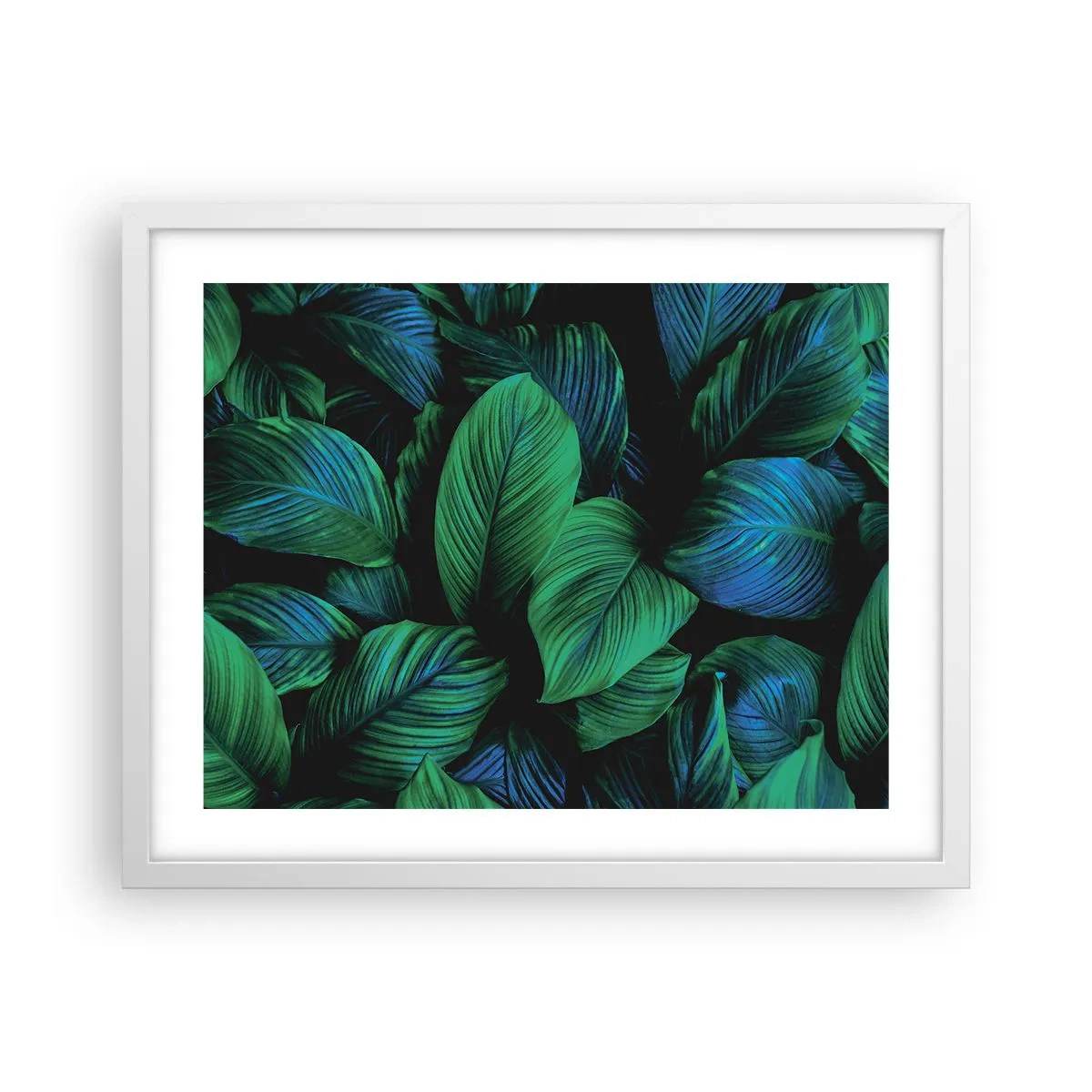 Plagát v bielom ráme - V zelenom dave - 50x40 cm