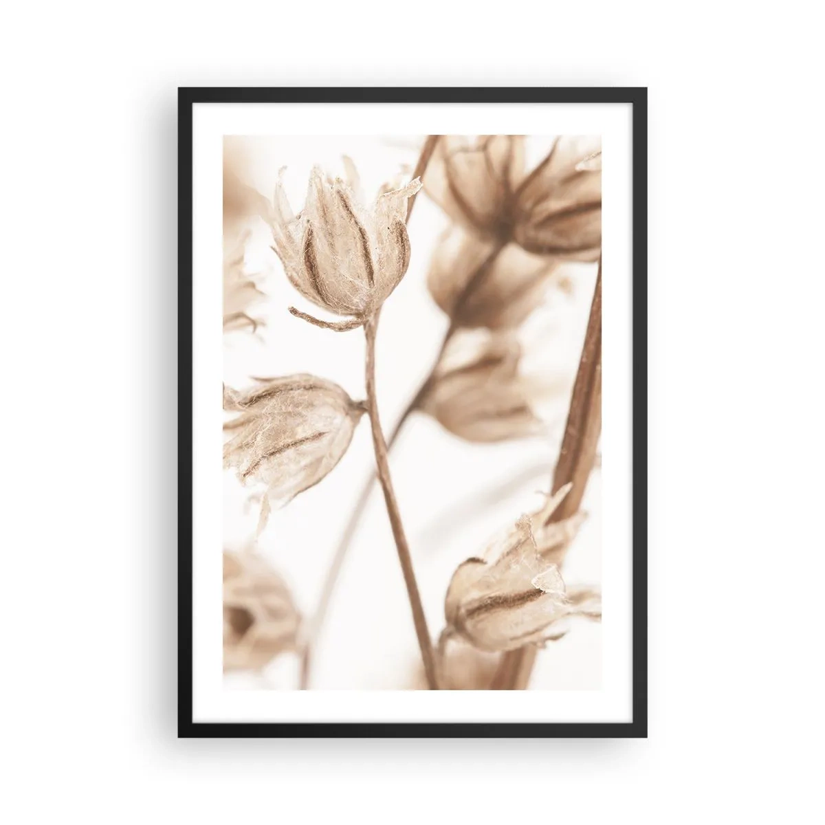 Plagát v čiernom ráme - Sušené rastliny v sépiovej farbe na svetlom pozadí - 50x70cm - Ozveny konca leta - Moderná nástenná dekorácia do obývacej izby a spálne ARTTOR