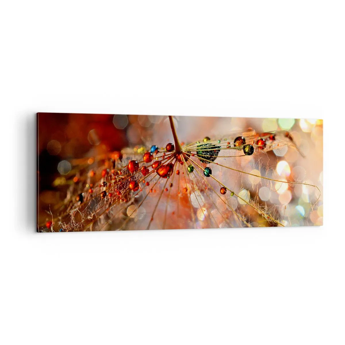 Obraz na plátne - Navlečené na pavučinu - 140x50 cm