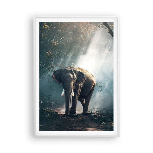 Plagát v bielom ráme - Pokojná prechádzka - 70x100 cm