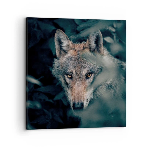 Obraz na plátne - Predátor - 70x70 cm