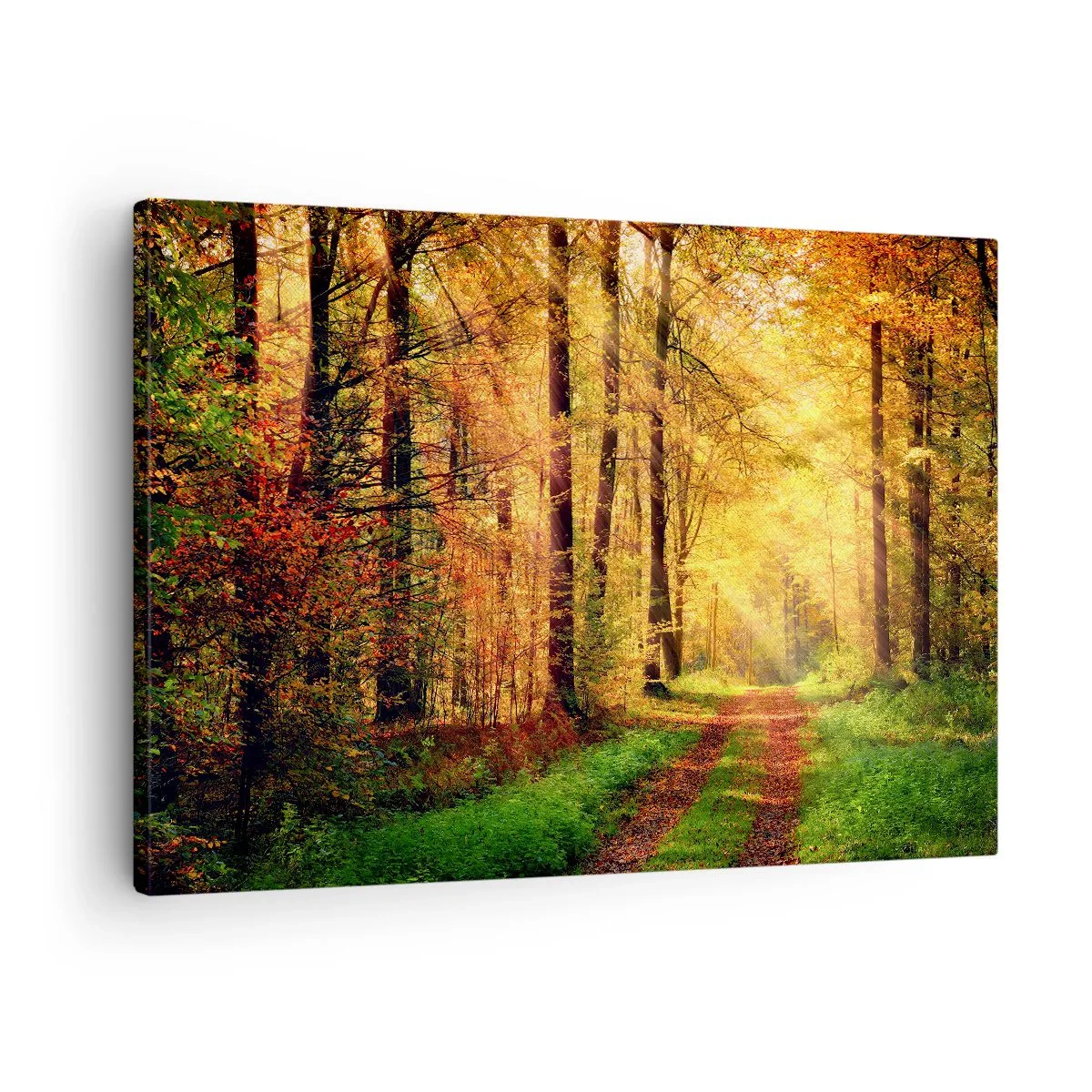 Obraz na plátne - Lesný chodník obklopený zlatými a zelenými stromami - 70x50cm - Lesno-zlaté ticho - Moderná nástenná dekorácia do obývacej izby a spálne ARTTOR