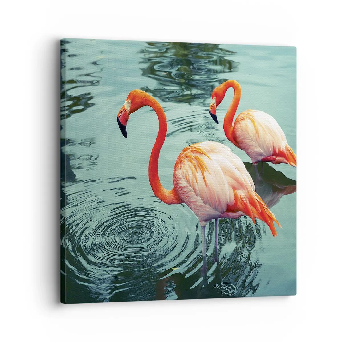 Obraz na plátne - Teraz sme v móde - 30x30 cm