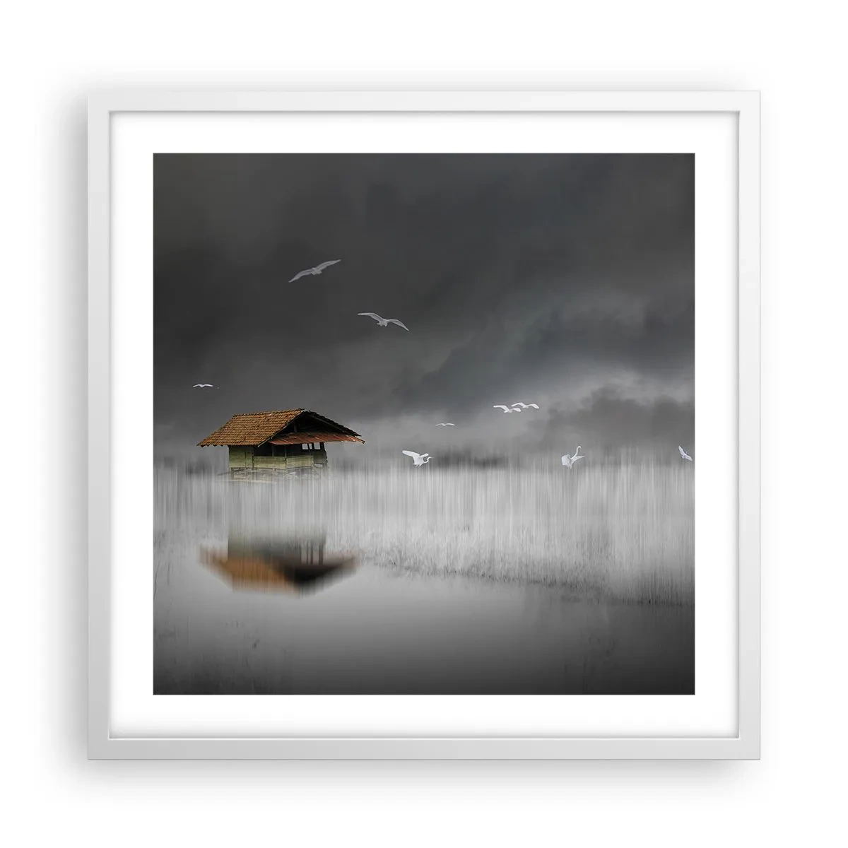 Plagát v bielom ráme - Úkryt pred dažďom - 50x50 cm