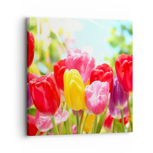 Obraz na plátne - To sme my, farby mája! - 30x30 cm