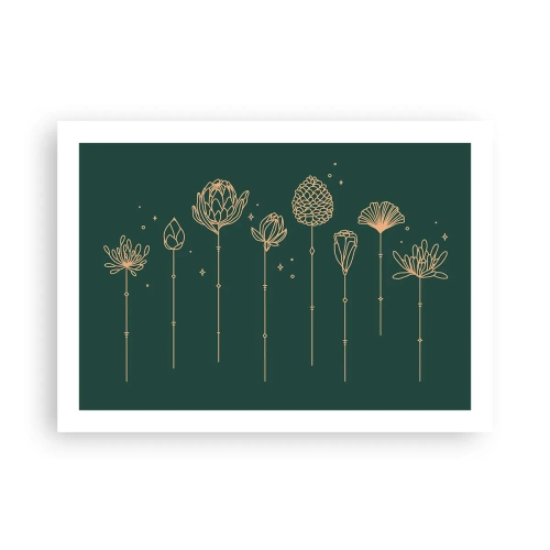 Plagát - Bylinky - 70x50 cm