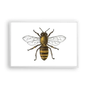 Plagát v bielom ráme - Krásna a dobrá - 91x61 cm