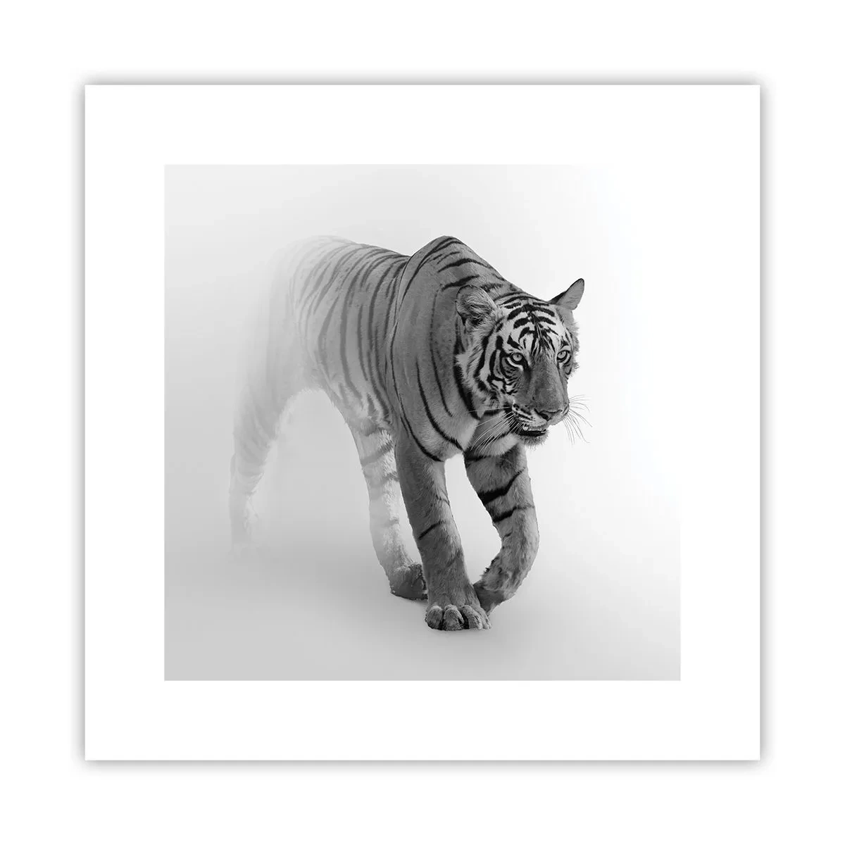 Plagát - Prikrčený v hmle - 30x30 cm