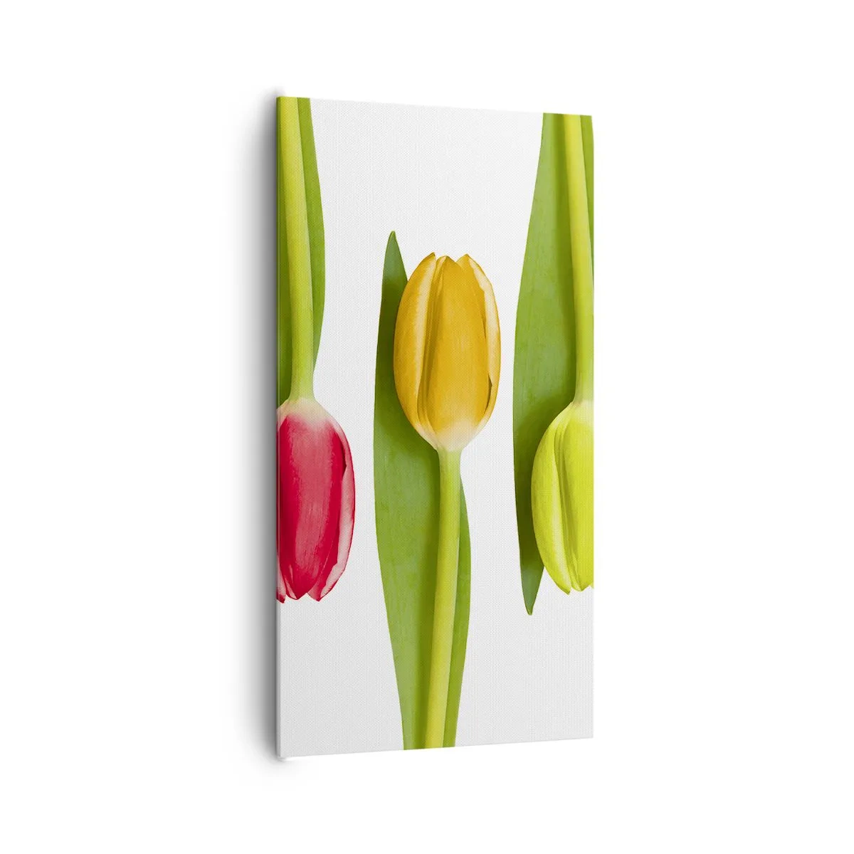 Obraz na plátne - Dúhová kompozícia - 65x120 cm